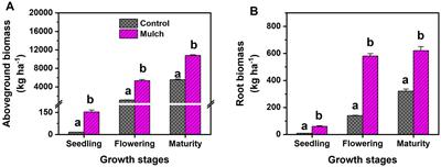 Effects of plastic film mulching on soil microbial carbon metabolic activity and functional diversity at different maize growth stages in cool, semi-arid regions